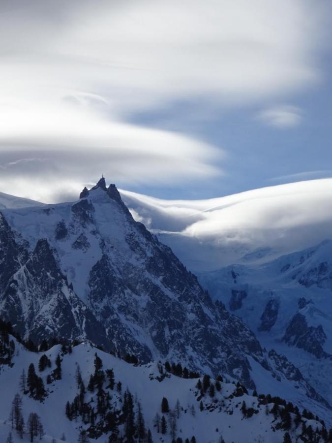 Ski Breezy Chalet Chamonix Ngoại thất bức ảnh