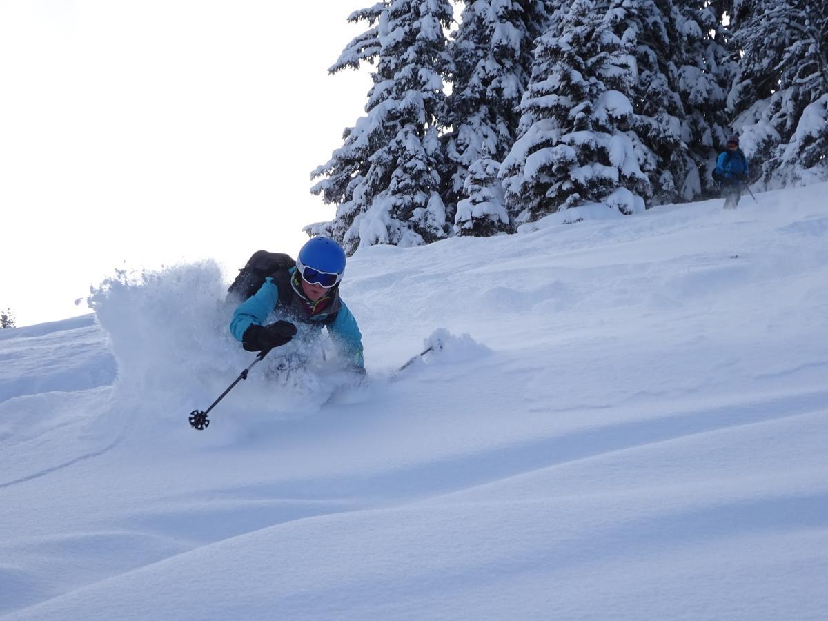 Ski Breezy Chalet Chamonix Ngoại thất bức ảnh